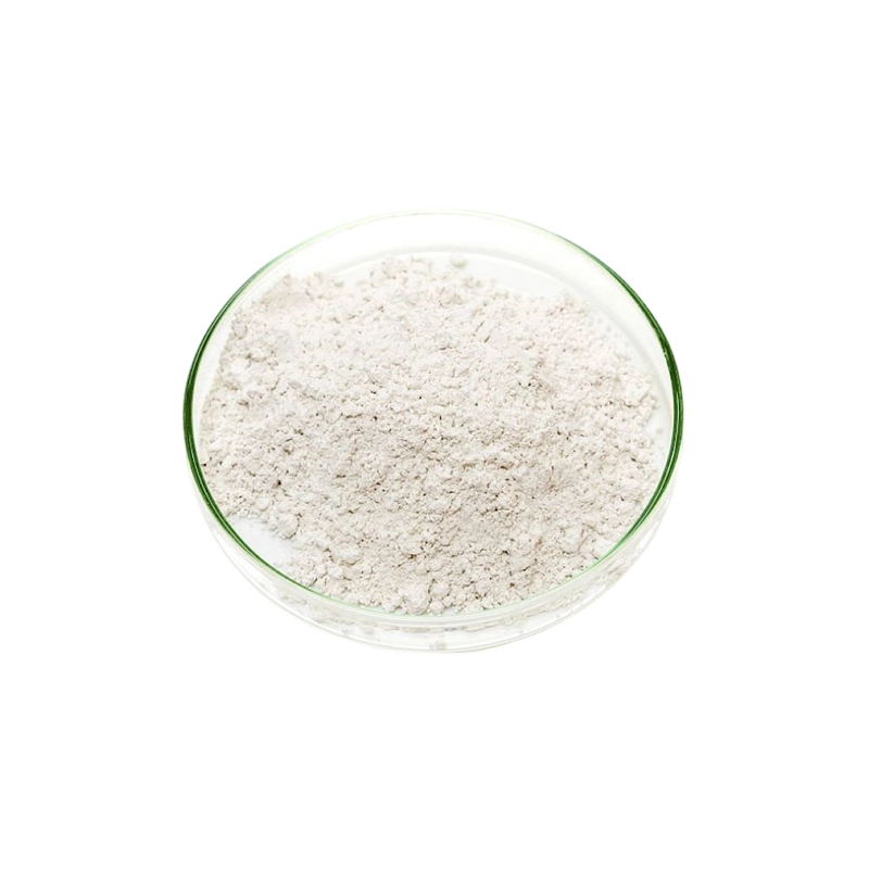 L Asparaginsäure (L Asparaginsäure)