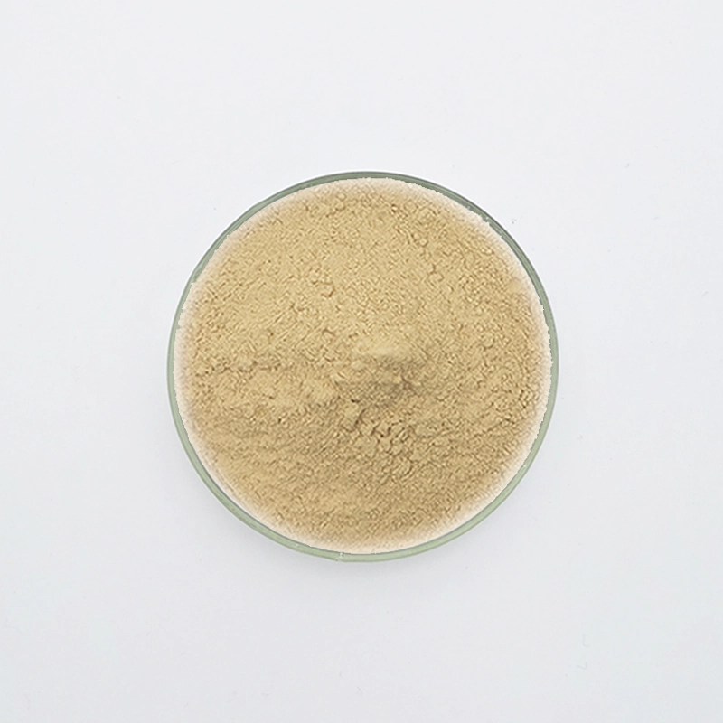 WN-701 Gipsverzögerer (WN-701)