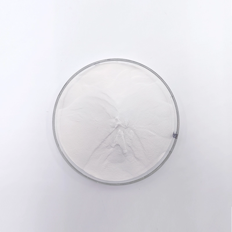 WN-601 Gipsverzögerer (WN-601)