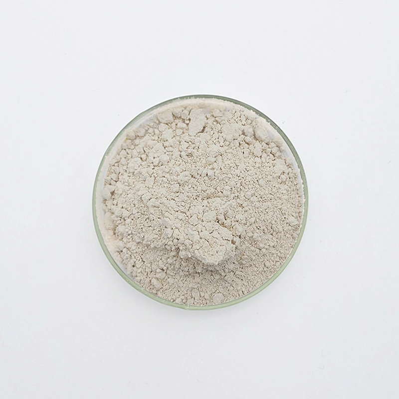 WN-721 Gipsverzögerer (WN-721)